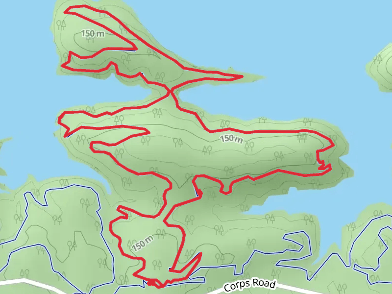 The White Zone Loop