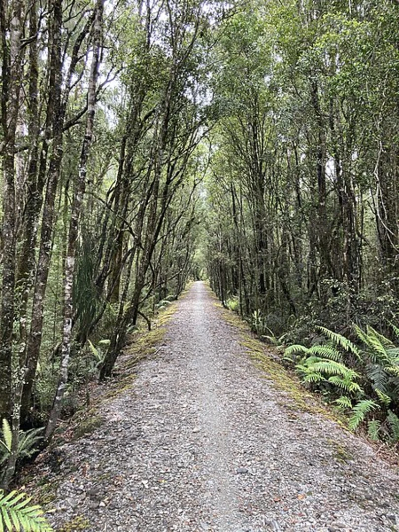 An image depicting the trail Mananui Tramline - Mahinapua Walkway and its surrounding area.