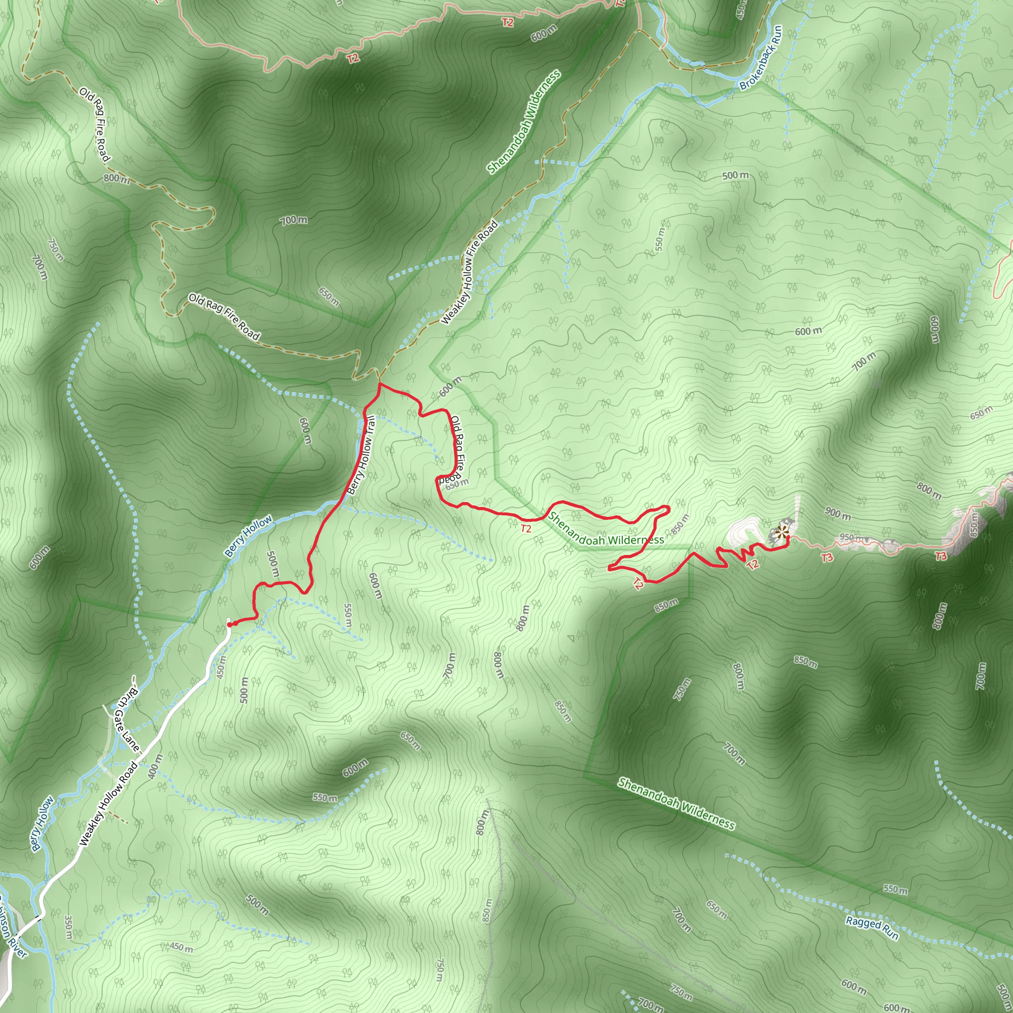 Old Rag Mountain via Berry Hollow Fire Road and Ridge Trail | Madison