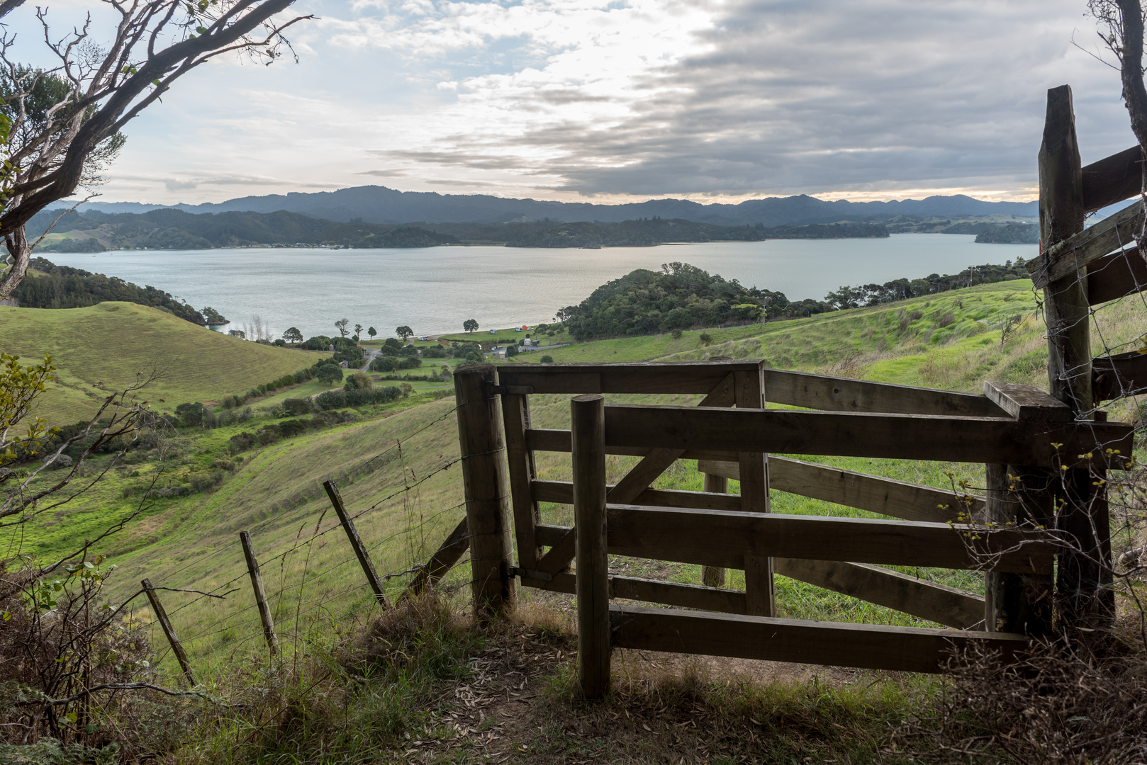An image depicting the trail Whangaruru North Head Loop and its surrounding area.