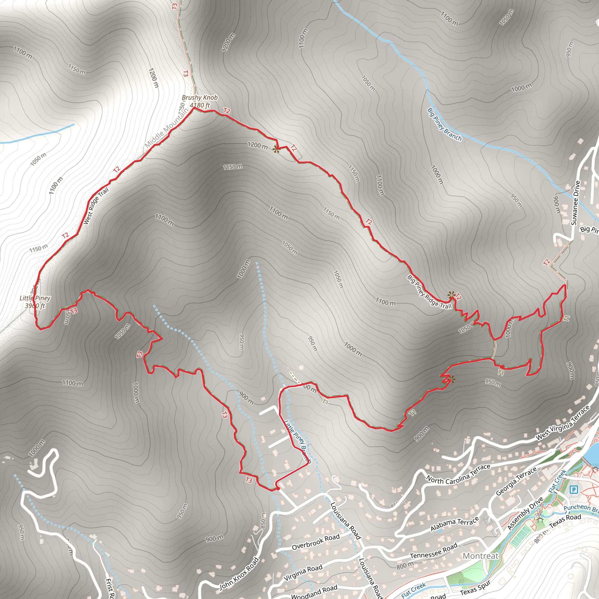 Little- Big Piney Branch Ridge Loop Trail mobile static map