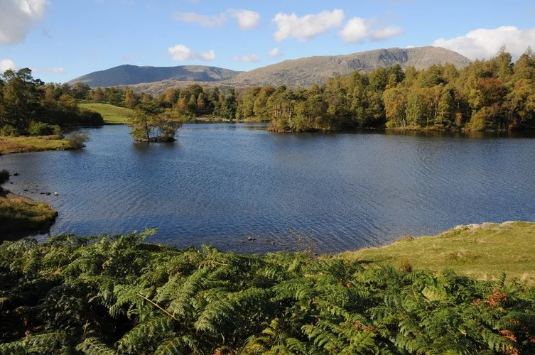 Hawkshead Hill and Round Parrock Wood Loop