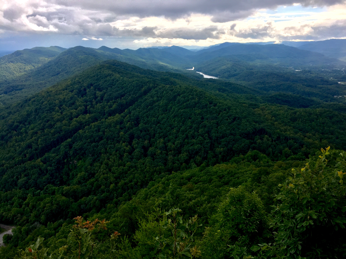An image depicting the trail Cumberland Trail - La Follette To Flat Fork Rd and its surrounding area.