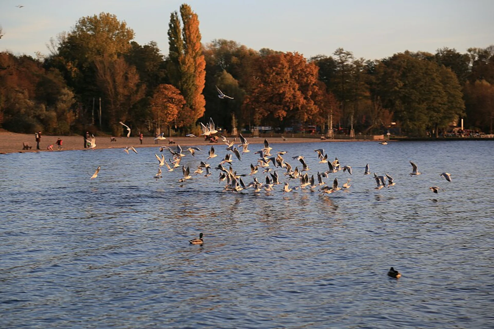 An image depicting the trail Teufelssee via Spree Weg and Grottewits Wanderweg and its surrounding area.