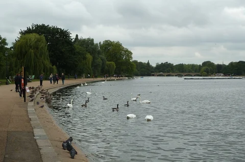 Hyde Park Loop