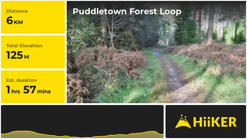 | Puddletown Forest Loop