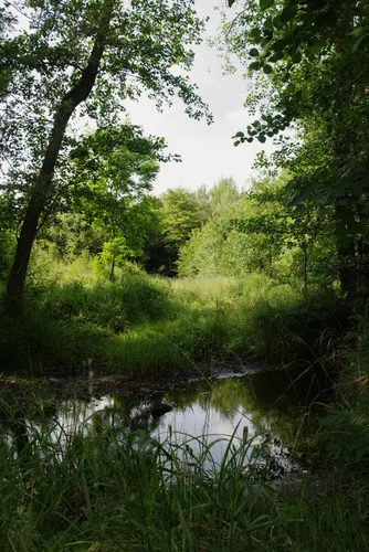 Nidda to Hirzenhain via Hillersbachstausee and Nidda Nidder Weg
