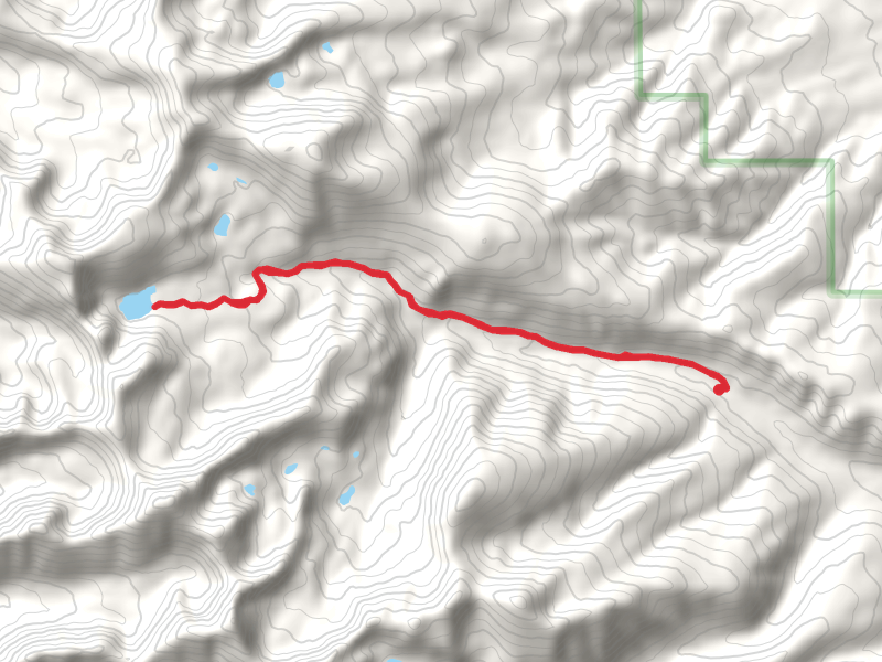 Bear Valley Lakes Walk