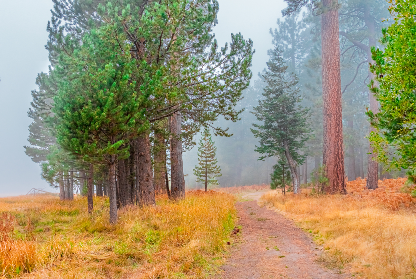 An image depicting the trail Siberia Creek Trail and its surrounding area.