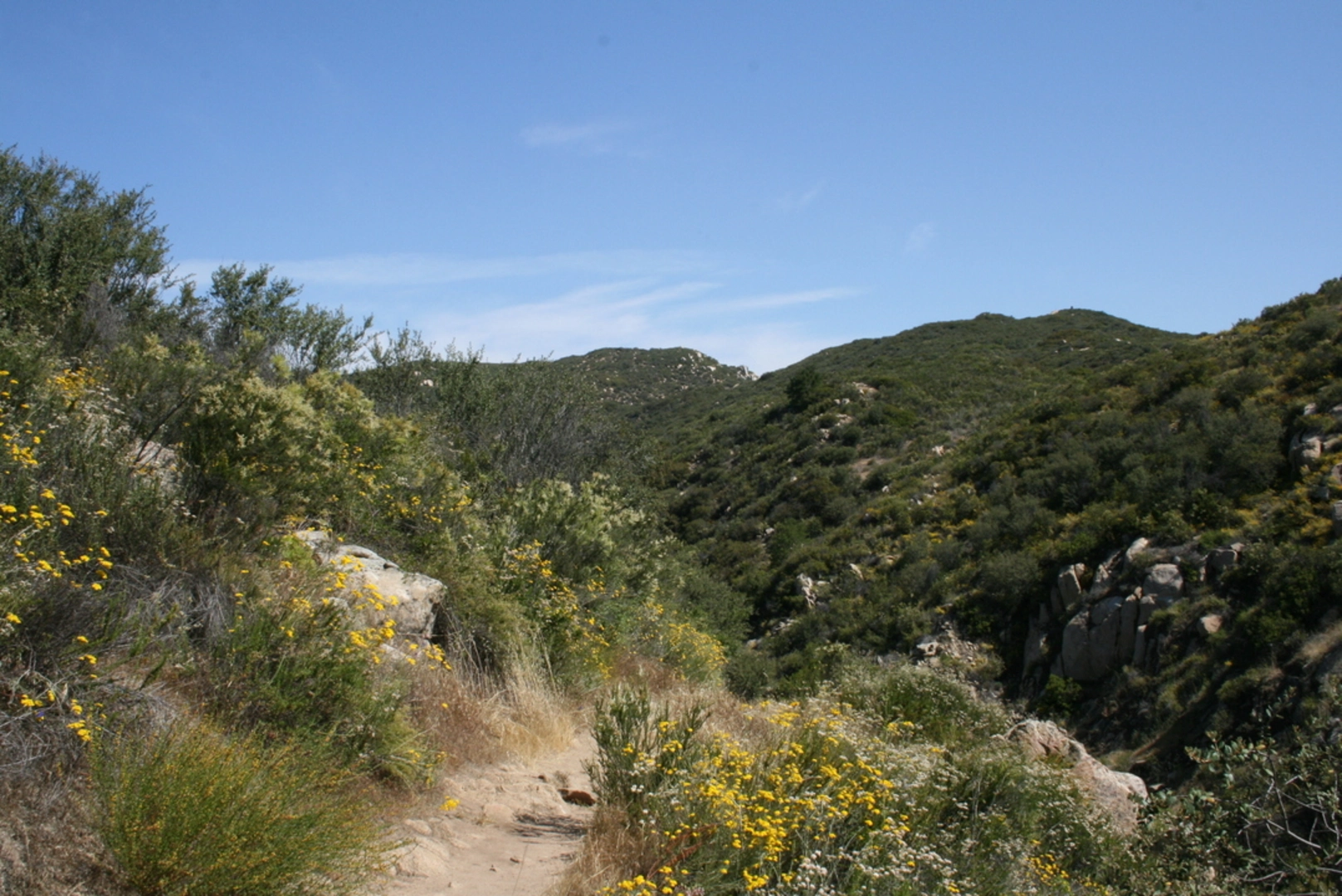 An image depicting the trail Viejo Tie Trail via San Juan Trail and its surrounding area.