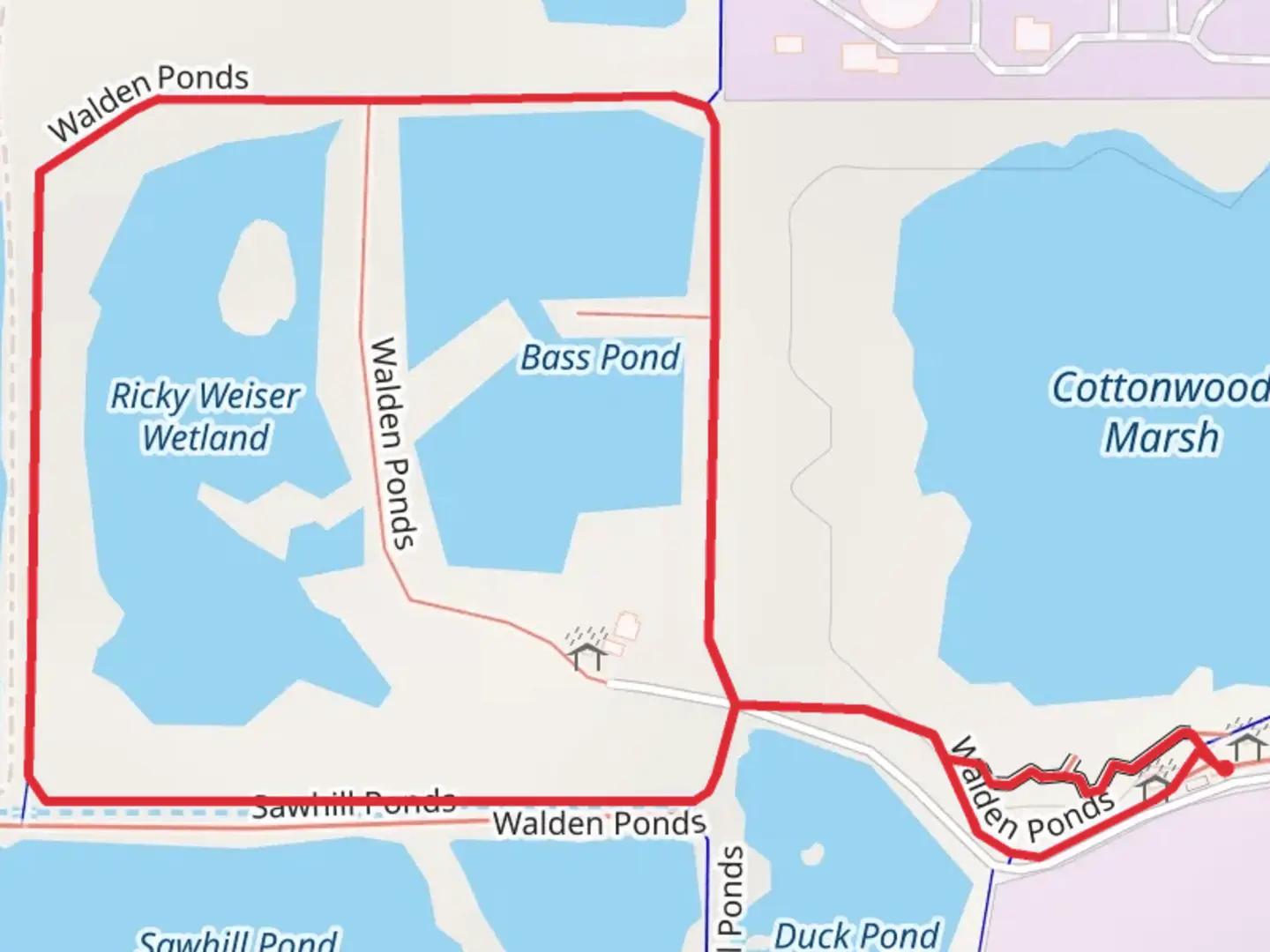 An image depicting the trail Walden Ponds Loop and its surrounding area.