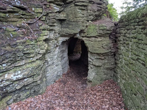 Downton Gorge Loop