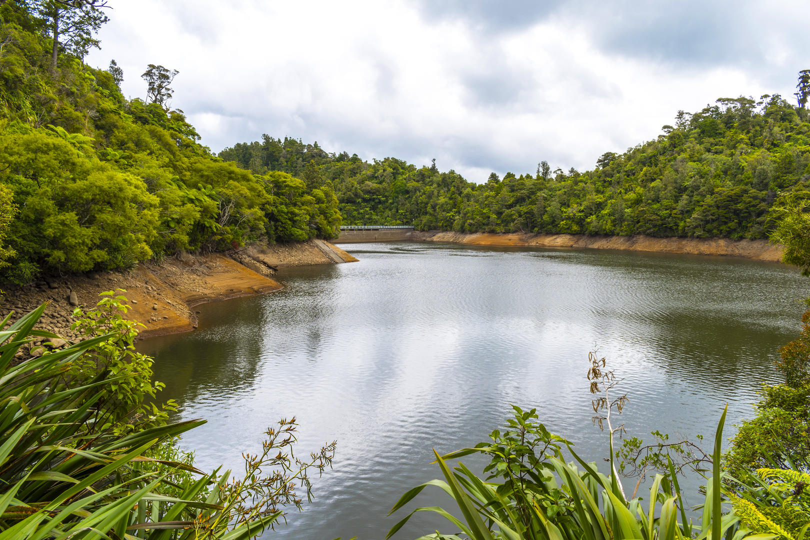 An image depicting the trail Upper Nihotupu Walk and its surrounding area.
