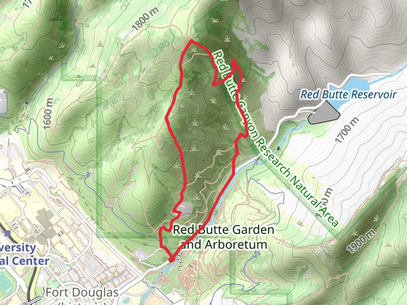 Mount Van Cott Loop Trail