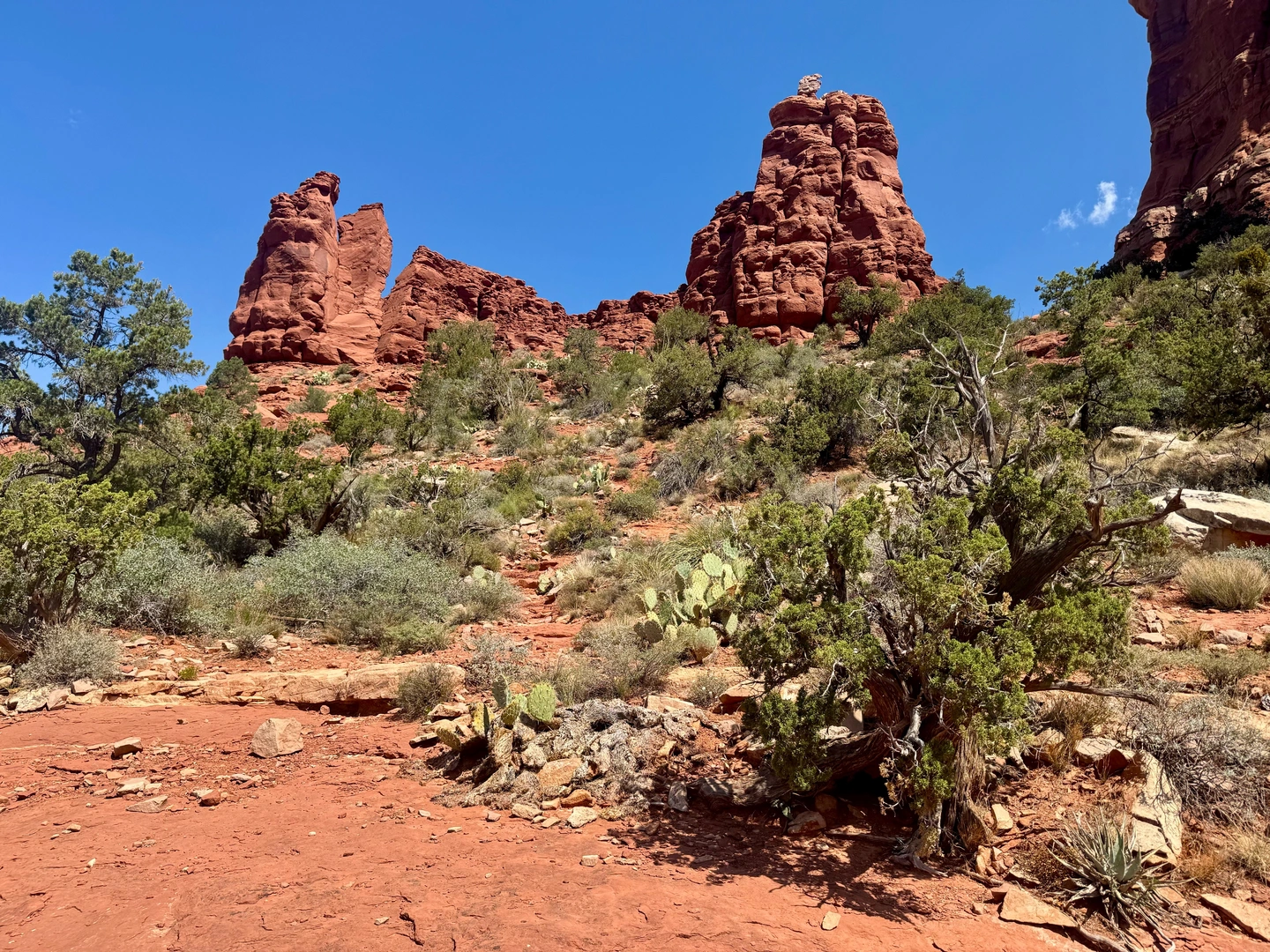 An image depicting the trail Snoopy Rock via Marg’s Draw Spur A and its surrounding area.
