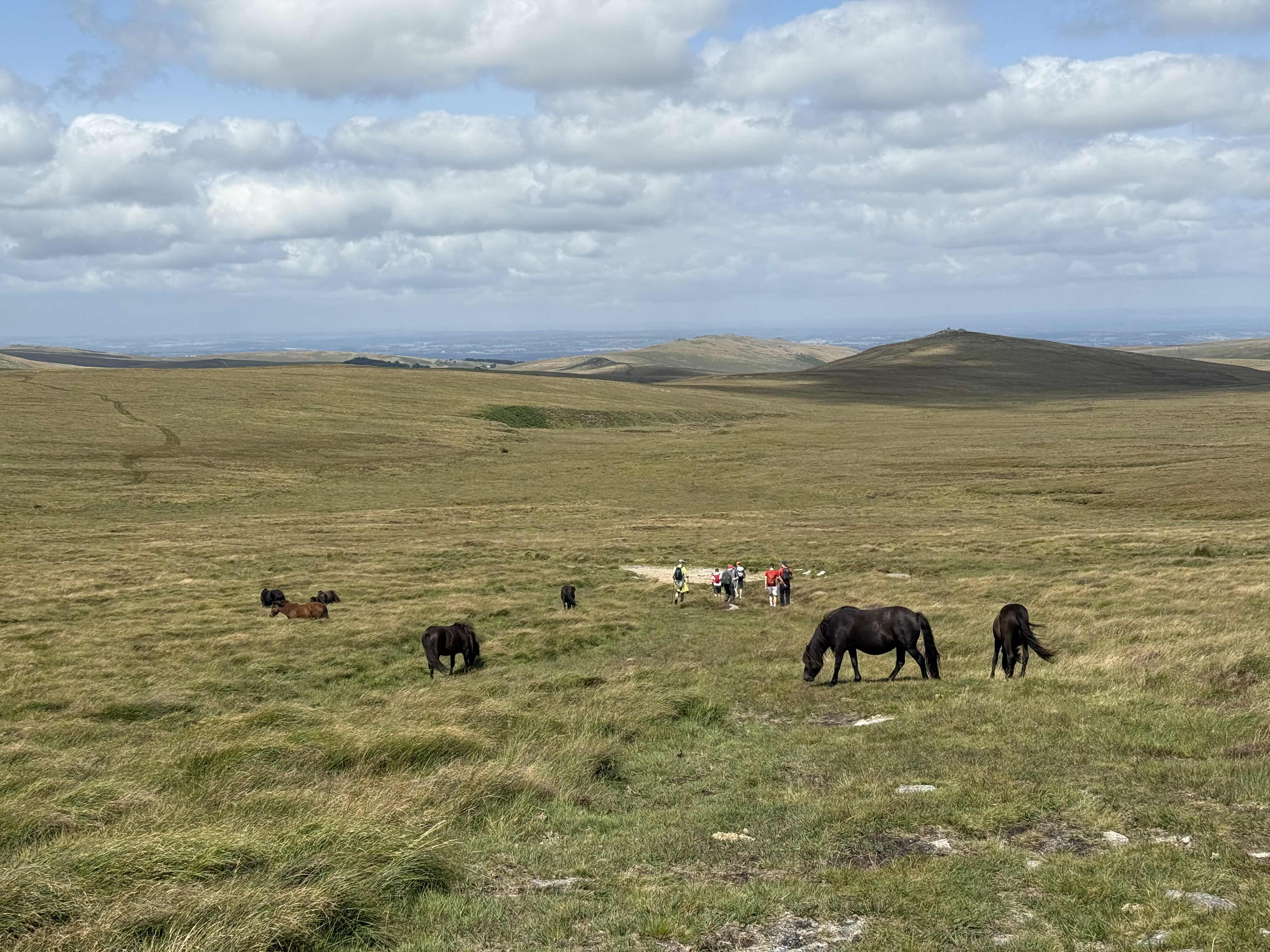 A map preview of the recording Dartmoor north to south day 1.