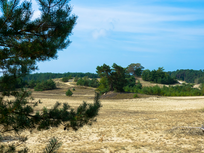 Hulshorsterheide and Beekhiozerzand via Kroopmanspad
