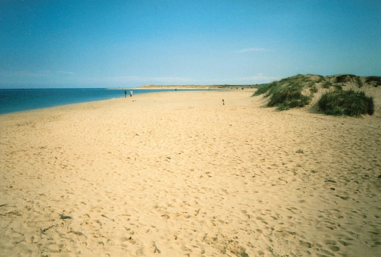 South Haven Point from Studland