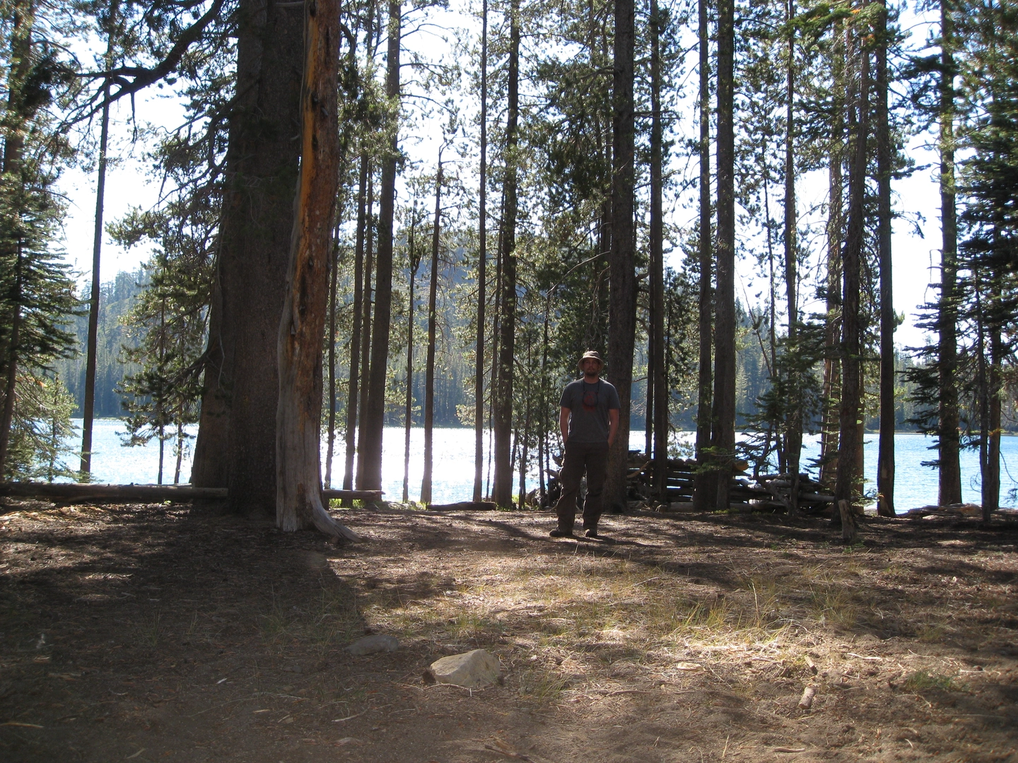 An image depicting the trail Caribou Lake, Triangle Lake and Turnaround Lake Loop Trail and its surrounding area.