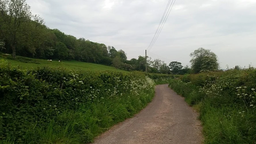 West Mendip Way and Old Ditch from Rodney Stoke