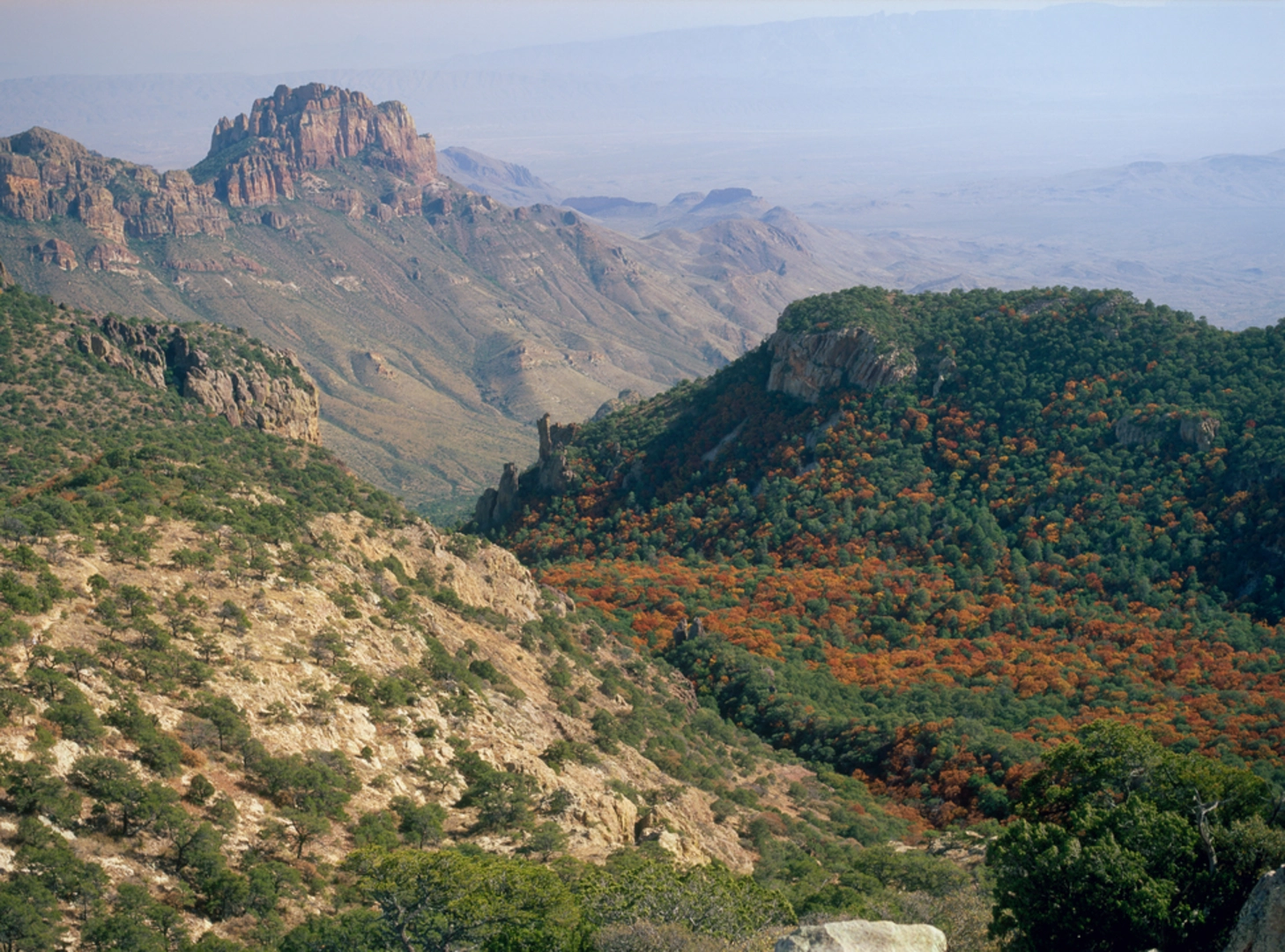 An image depicting the trail Emory Peak Trail and its surrounding area.