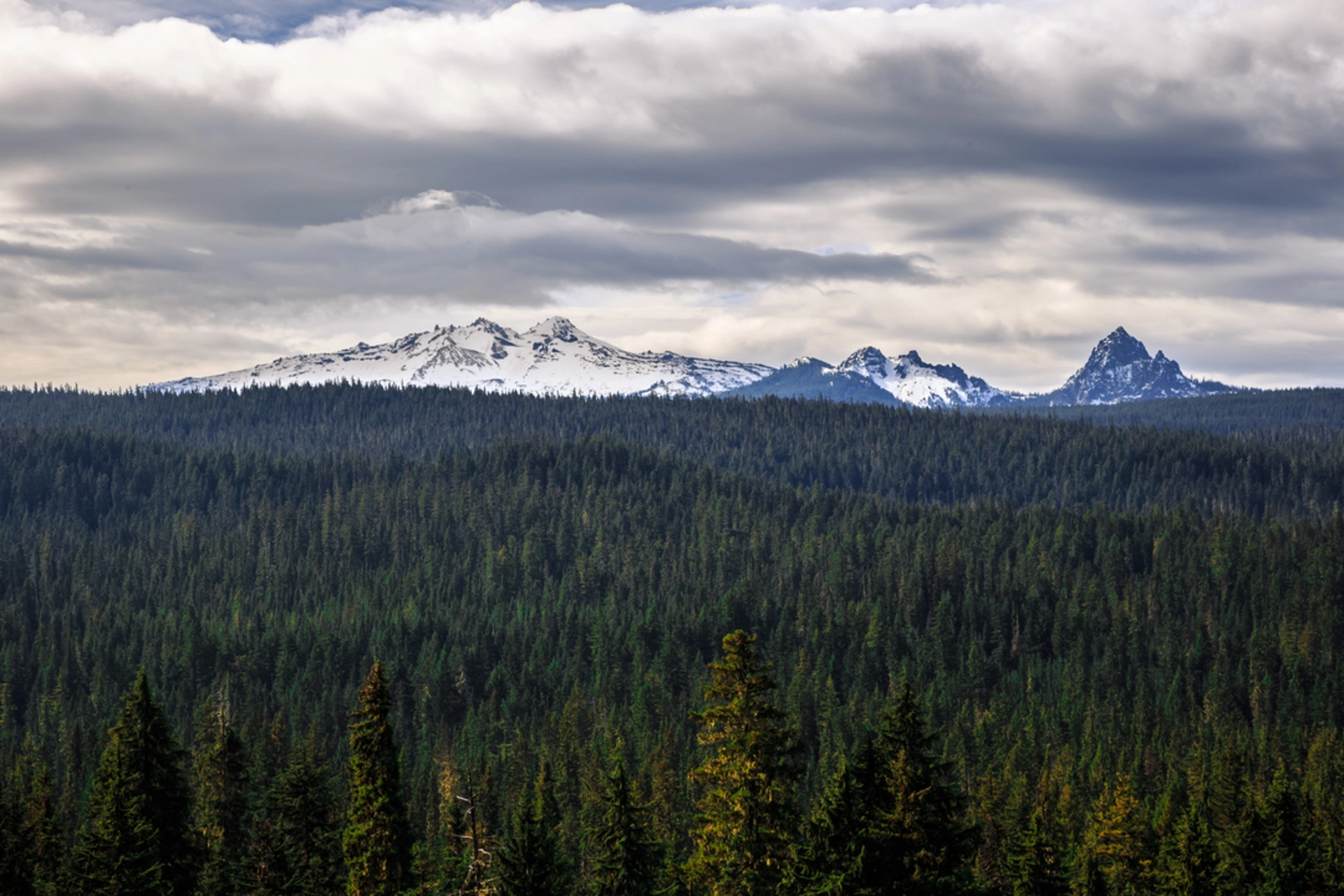 An image depicting the trail Pinto Mountain Trail and its surrounding area.