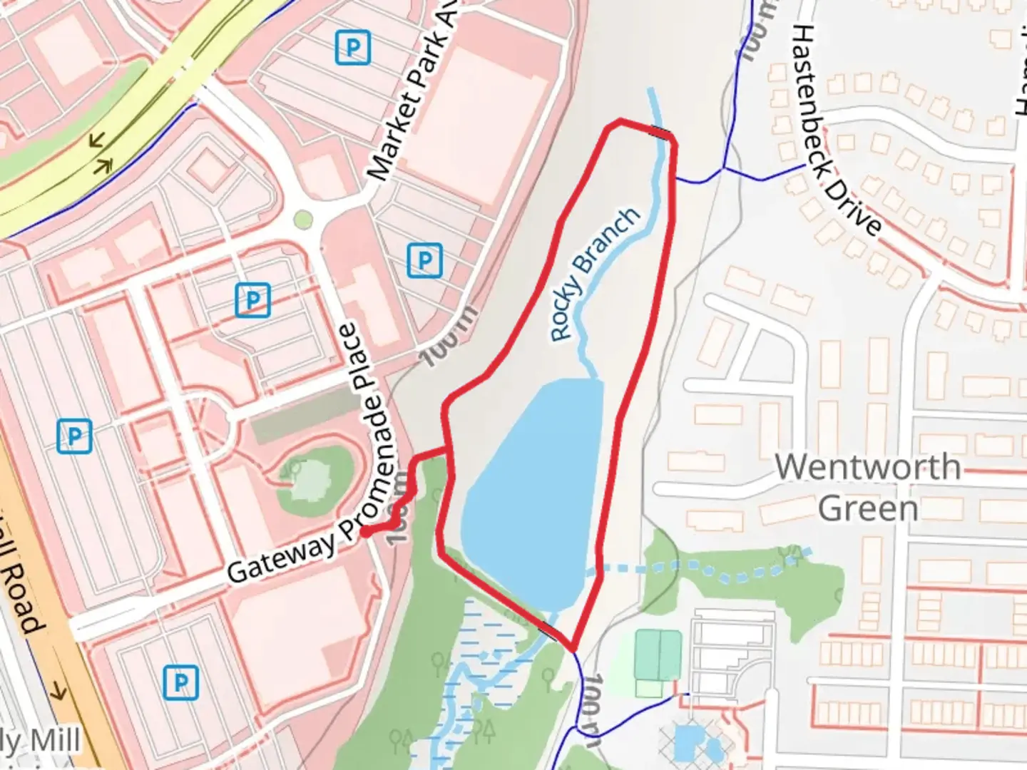 An image depicting the trail Rocky Branch Loop and its surrounding area.