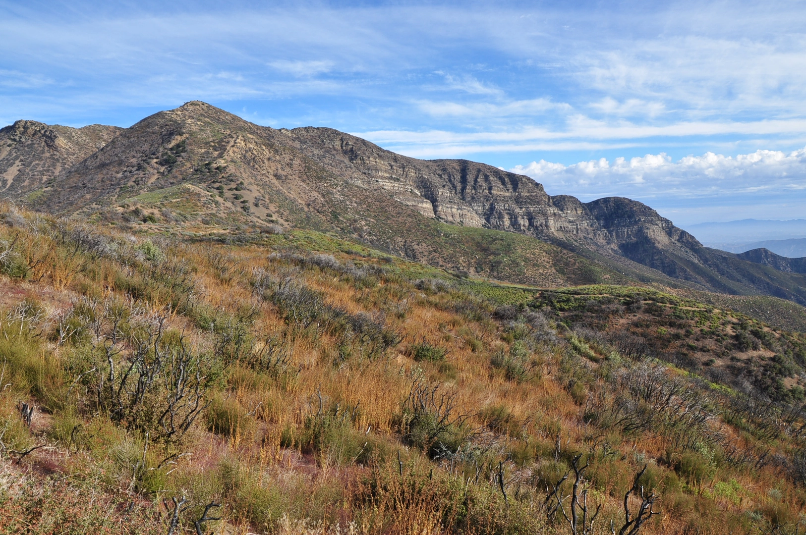An image depicting the trail Lion Canyon Trail and Red Reef Trail and its surrounding area.