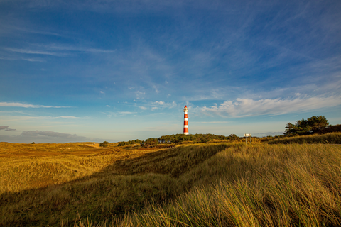 Duinen Ameland, Hollumerbosch and Ballumerbosch Loop