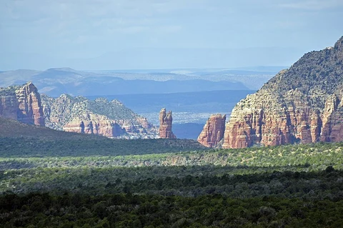 Brads Trail