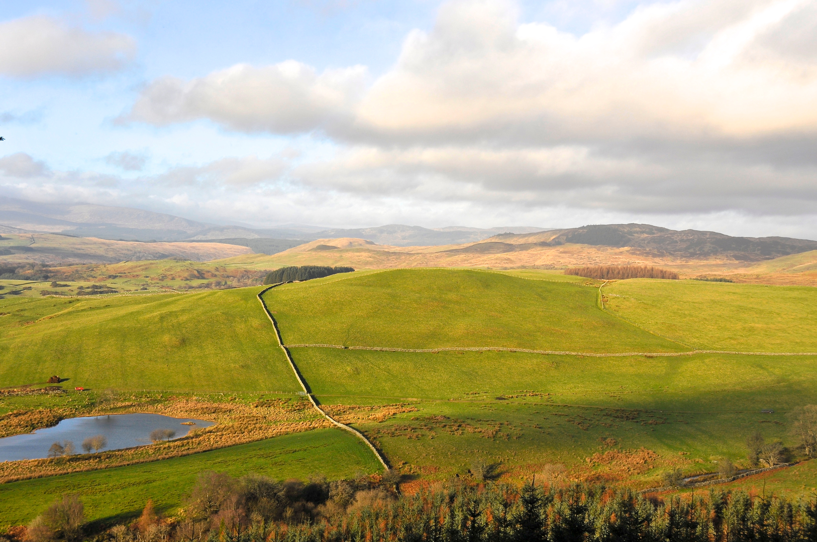 An image depicting the trail Cally Lake, Cally Palace and Temple Loop and its surrounding area.