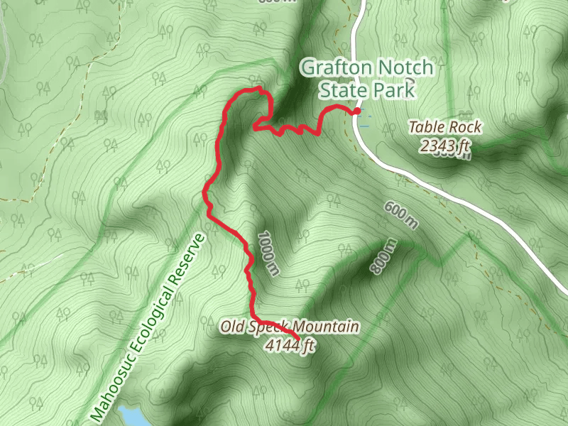 Old Speck Mountain via Grafton Loop Trail