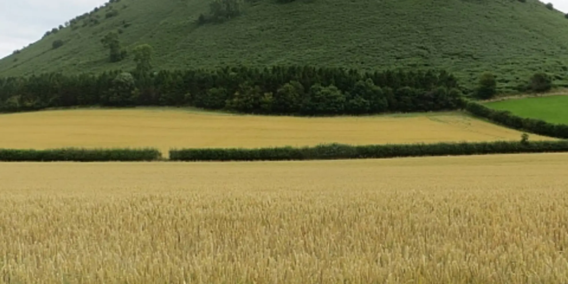 An image depicting the trail Herrock Hill from Kington and its surrounding area.