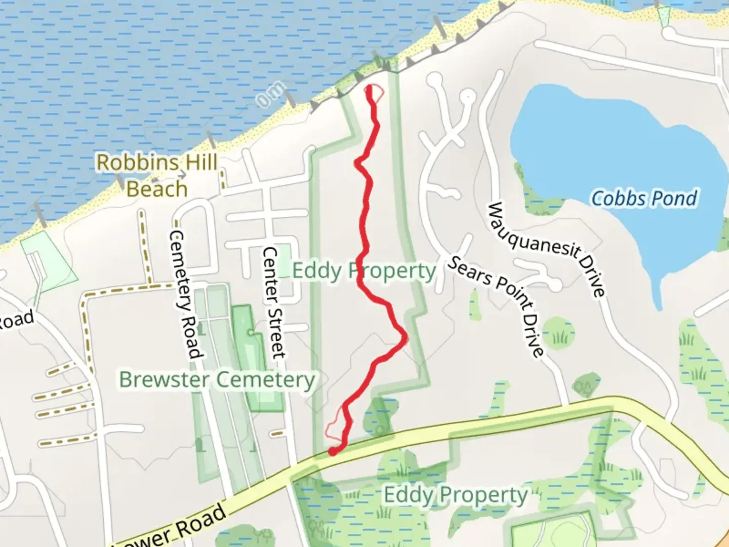 An image depicting the trail Lower Road Out and Back and its surrounding area.