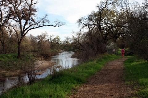 Gibson Lake and Dry Creek Loop
