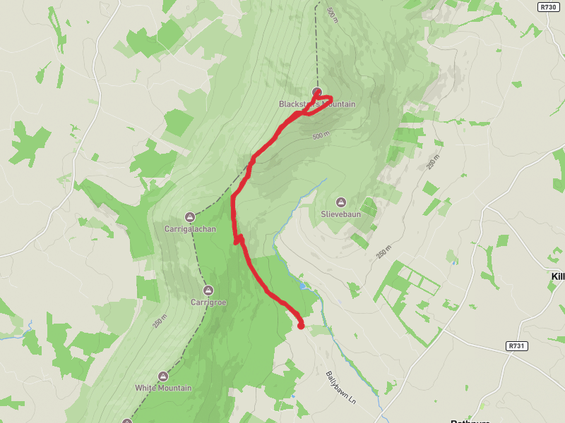 Blackstairs (MS Log 5/14) thumbnail