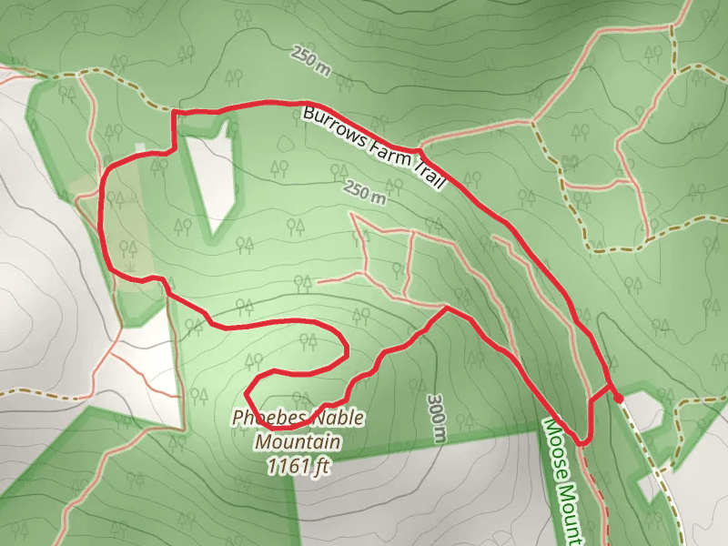 Phoebes Nable Mountain Loop Trail