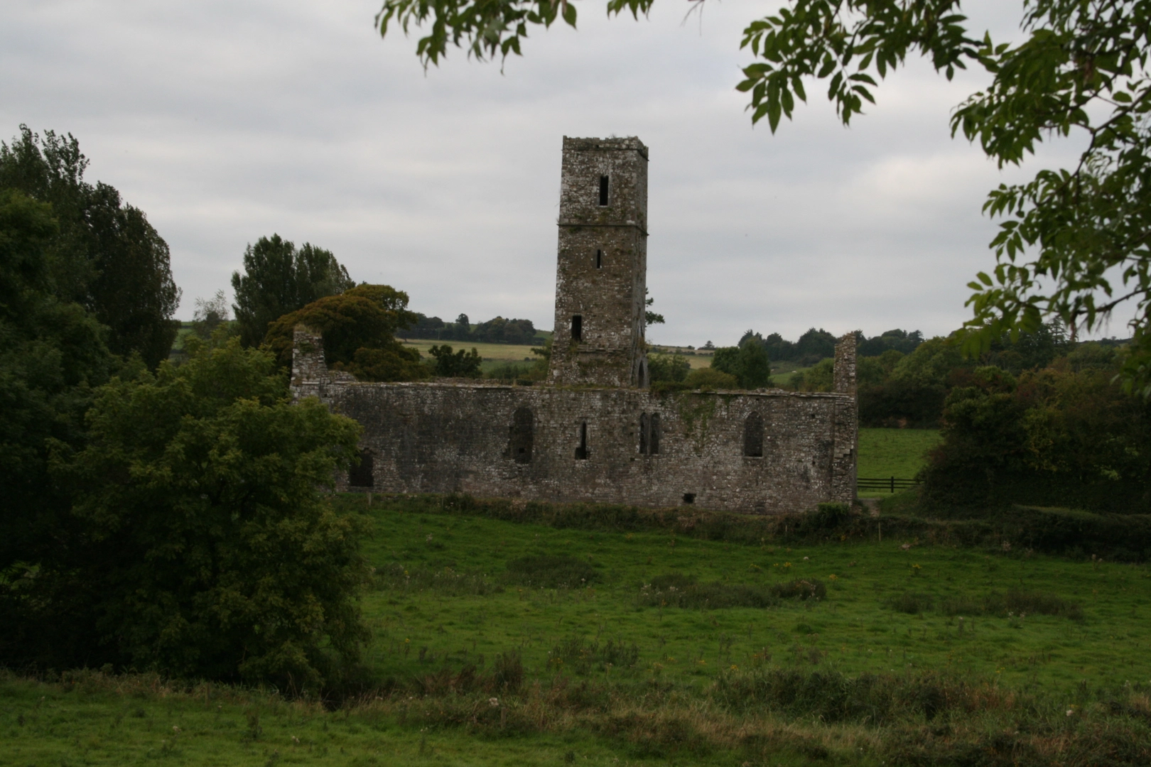 An image depicting the trail Ballyhoura Way - Galbally Moor Abbey and its surrounding area.