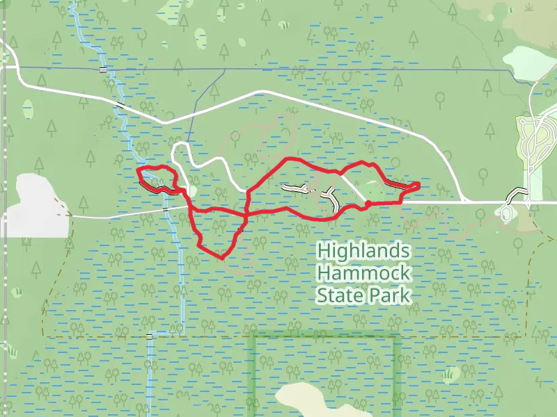 Hickory, Cypress Swamp and Sweet Gum Loop Trail