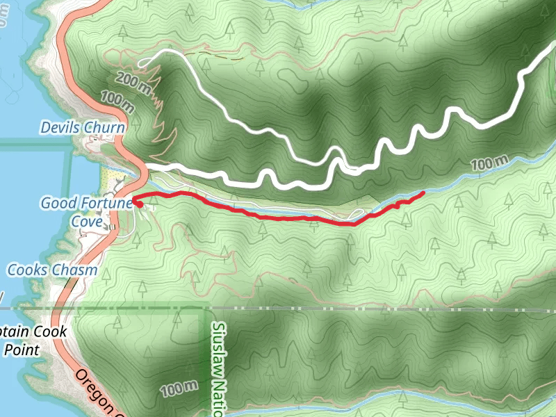 Giant Spruce Trail - Cape Cove