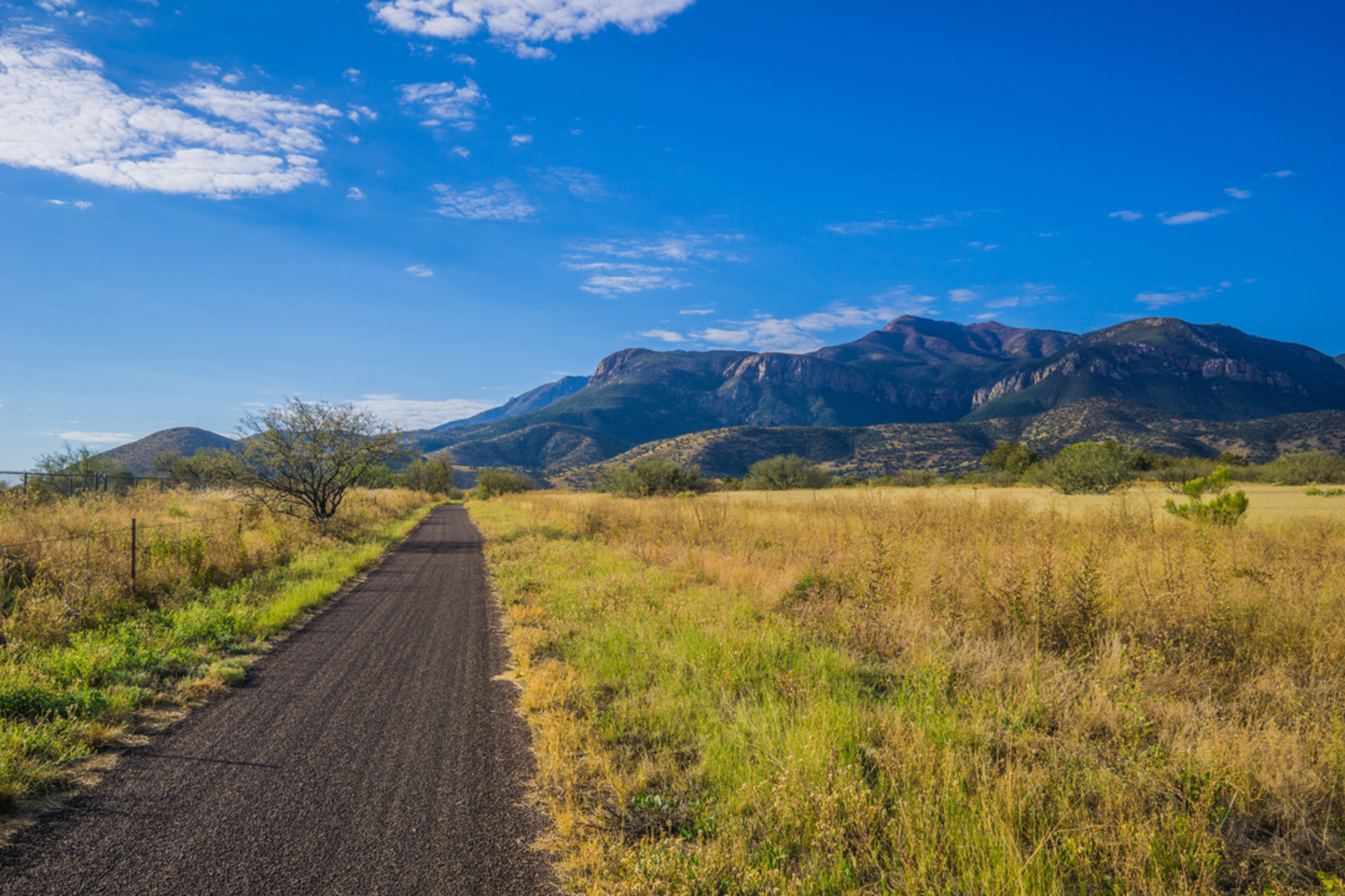 An image depicting the trail Huachuca Peak Trail and its surrounding area.