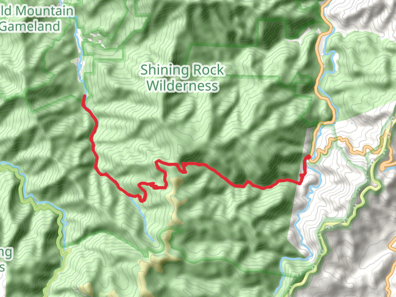 Shining Creek Path and Little East Fork Trail