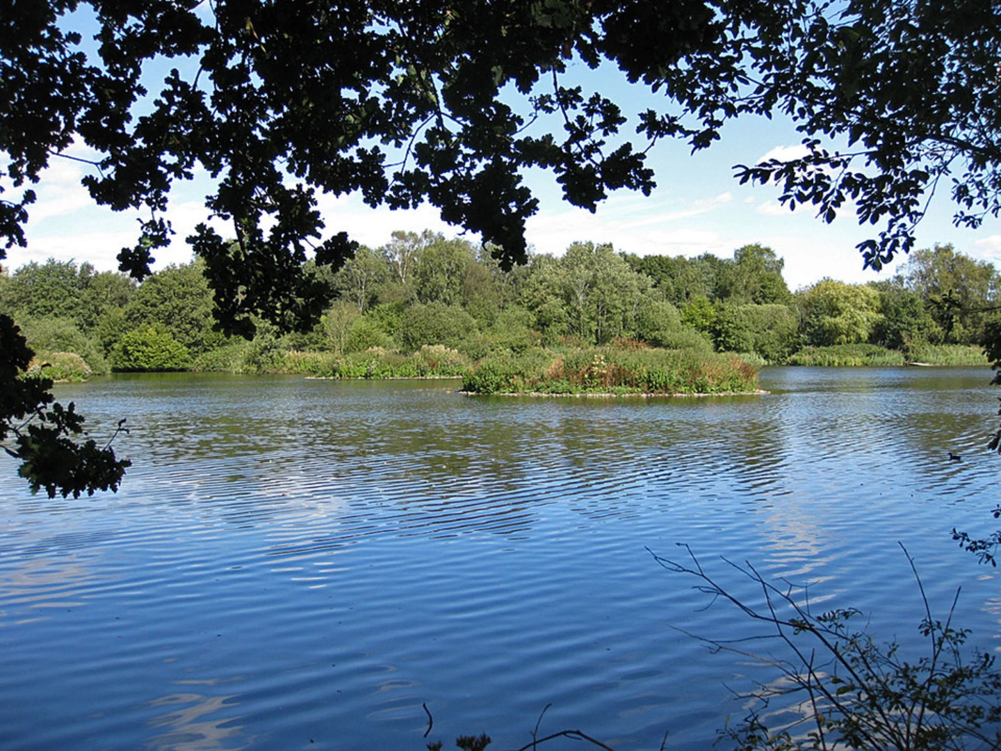An image depicting the trail Pensthorpe Loop and its surrounding area.