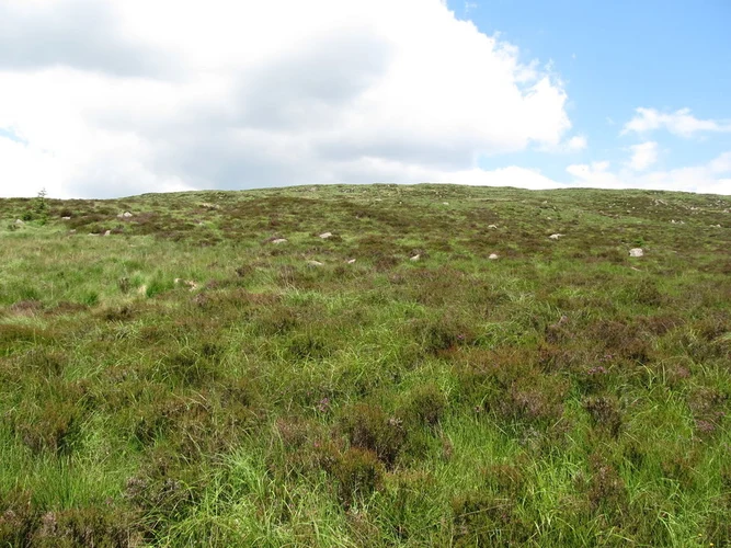 Slievemeel Peak Loop via Mourne Way