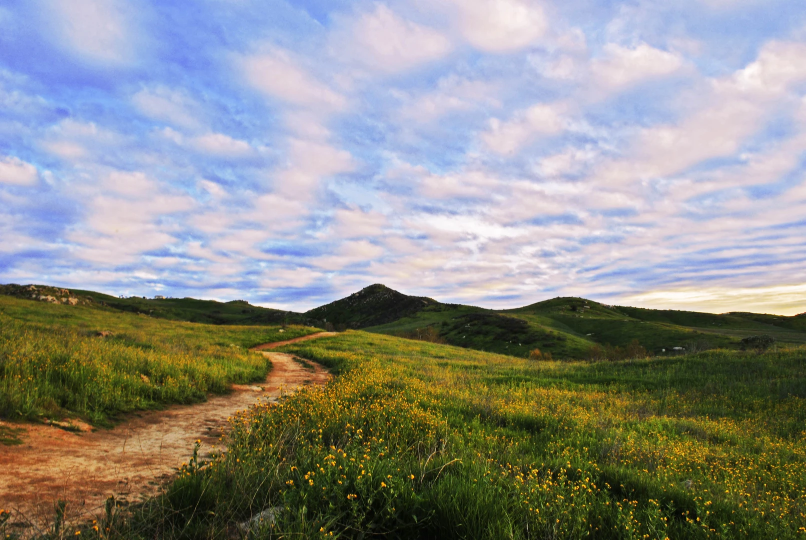 An image depicting the trail Sycamore Canyon Park and its surrounding area.