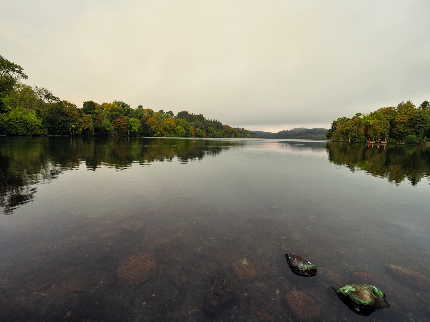 An image depicting the trail Castlewellan Forest Park - Slievenaslat Walk and its surrounding area.