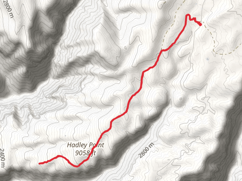 Clinetop Cow Camp Trail