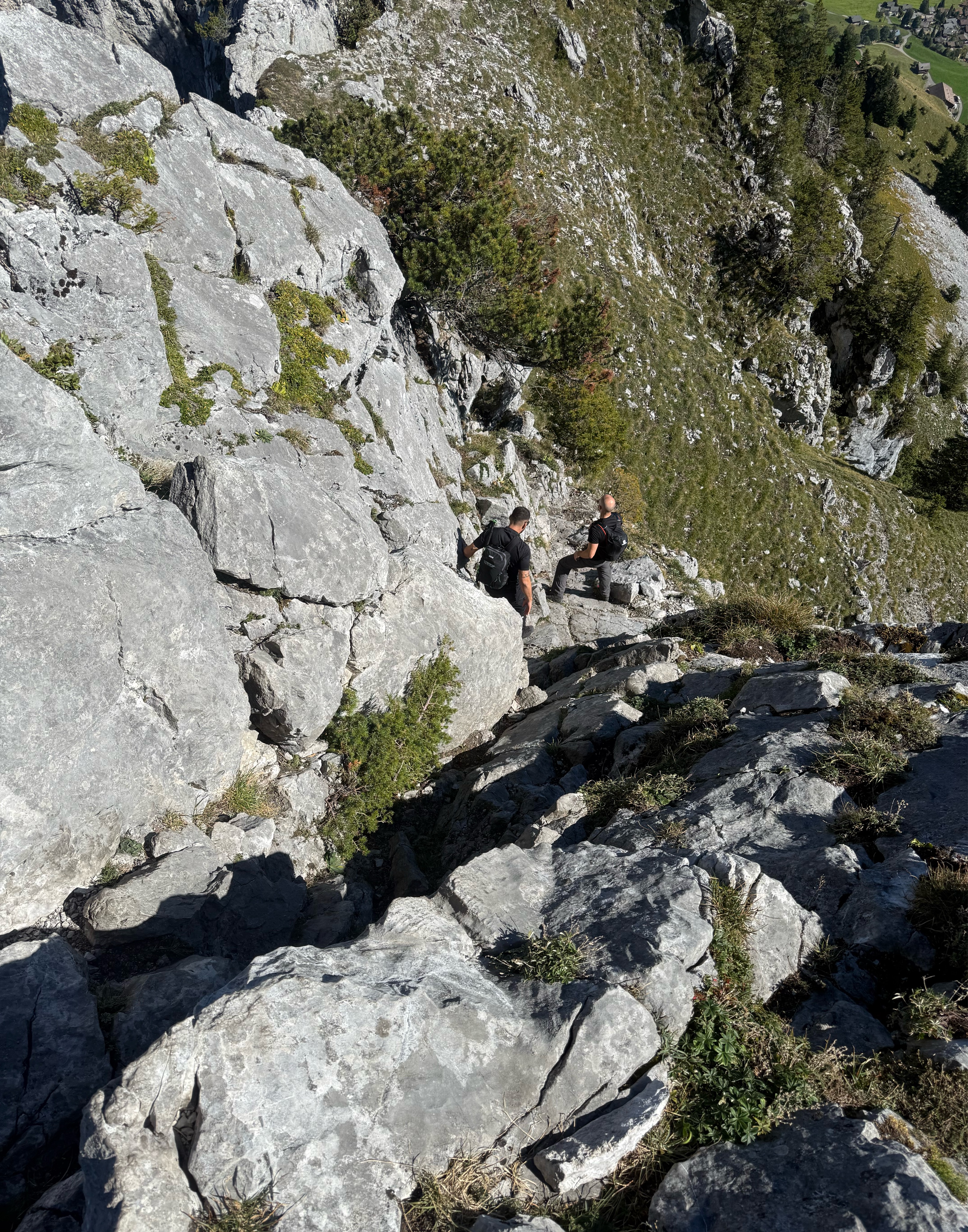 A map preview of the recording Hike from Schwyz.