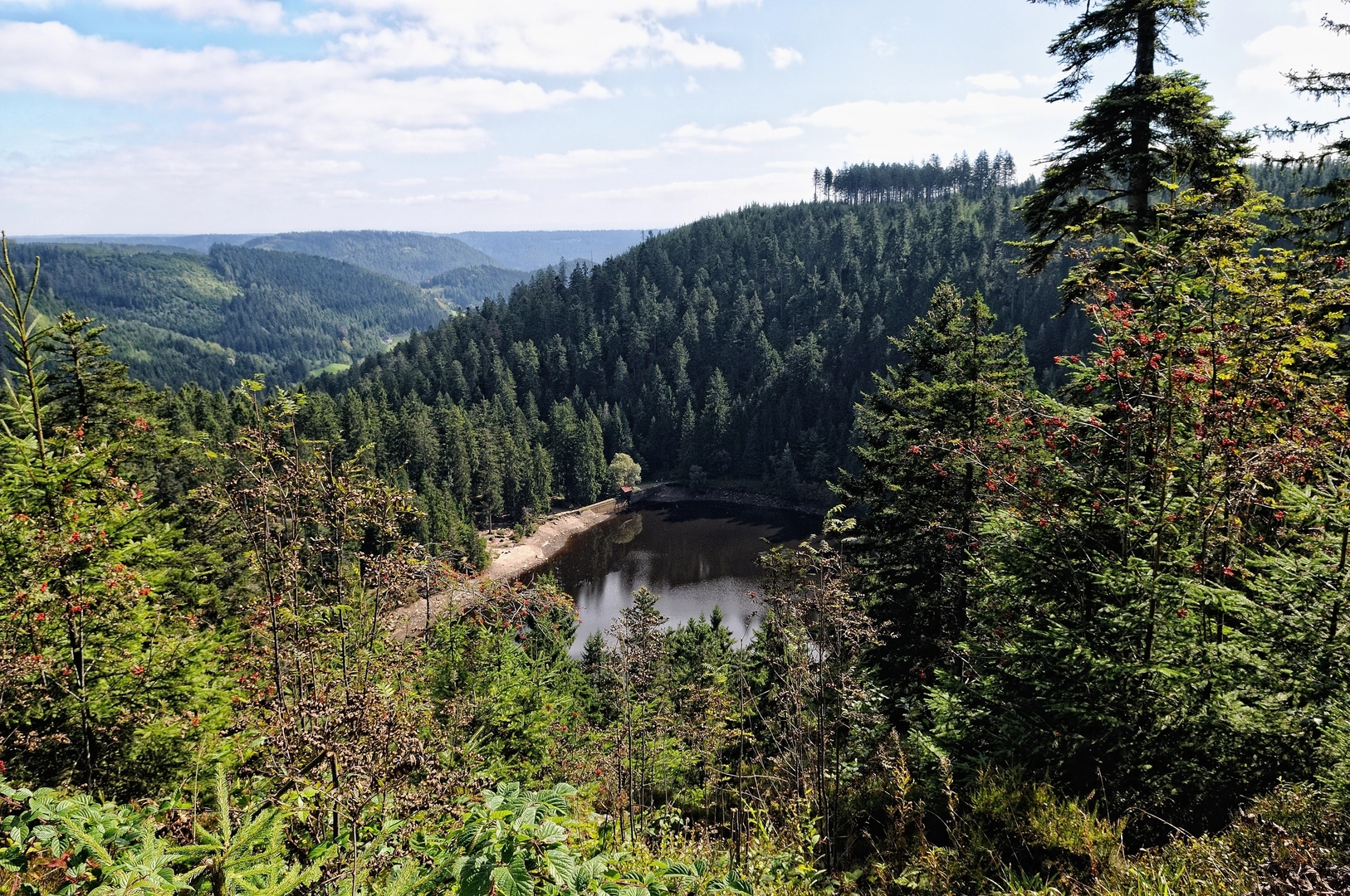 An image depicting the trail Renchtalsteig and its surrounding area.
