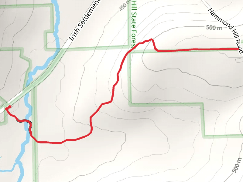 Roy H Park Nature Preserve Trail and Boardwalk Connector Trail